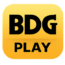bdgplay